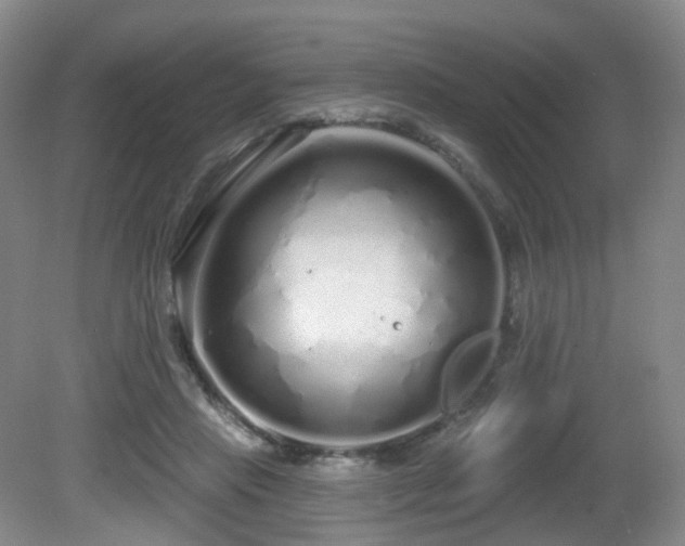 X0000081600453200701151343