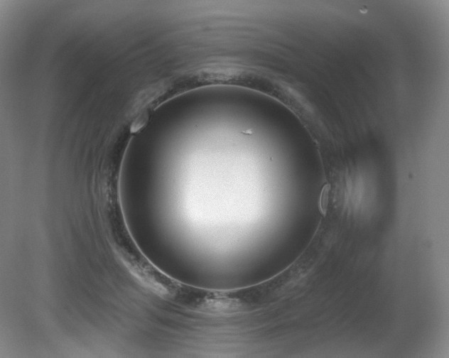 X0000081600455200701151343