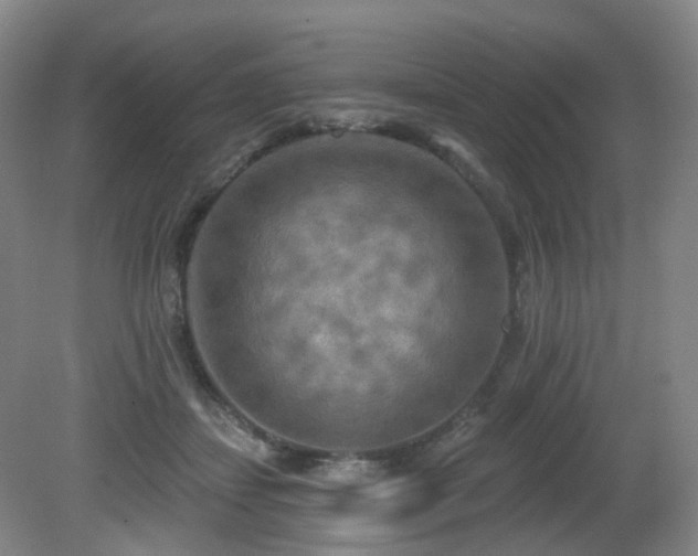 X0000081600459200701151343