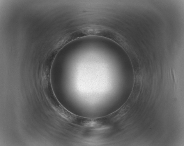 X0000081600460200701151343