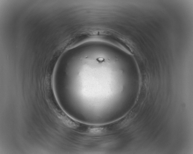 X0000081600461200701151343