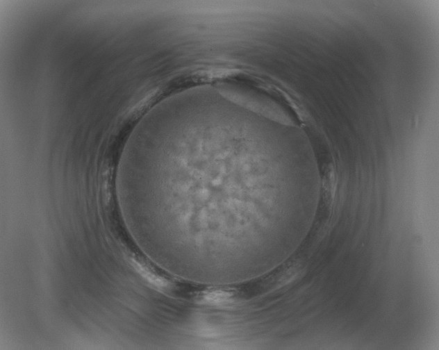 X0000081600462200701151343