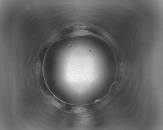 X0000081600463200701151343