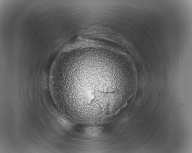 X0000081600465200701151344