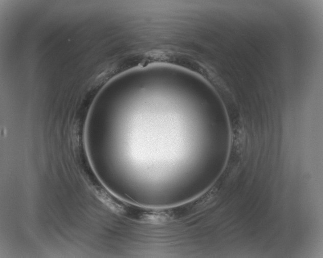 X0000081600466200701151344