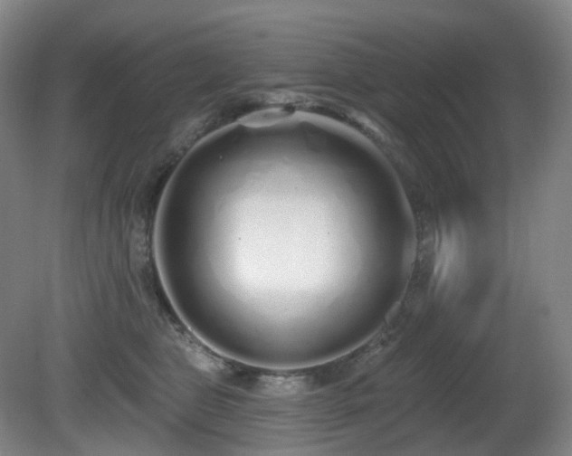 X0000081600469200701151344