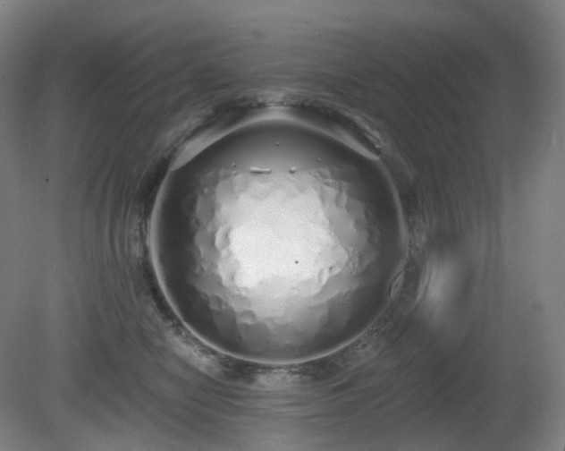 X0000081600470200701151344