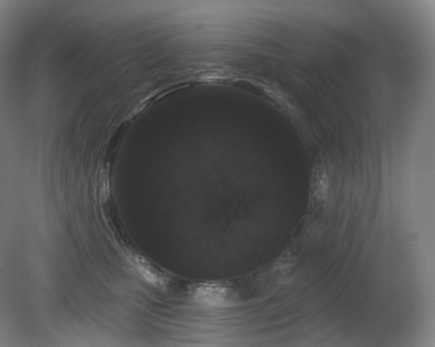 X0000081600471200701151344