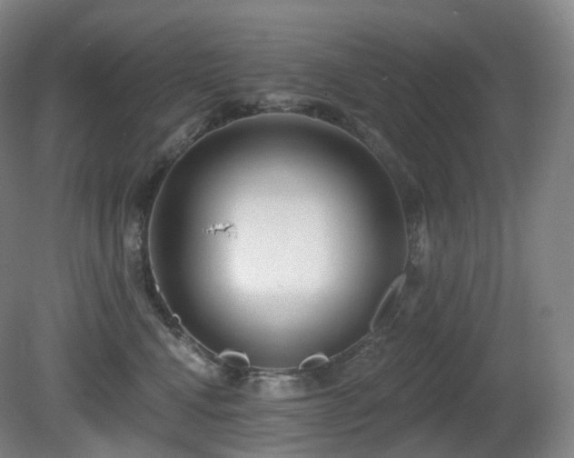 X0000081600472200701151344