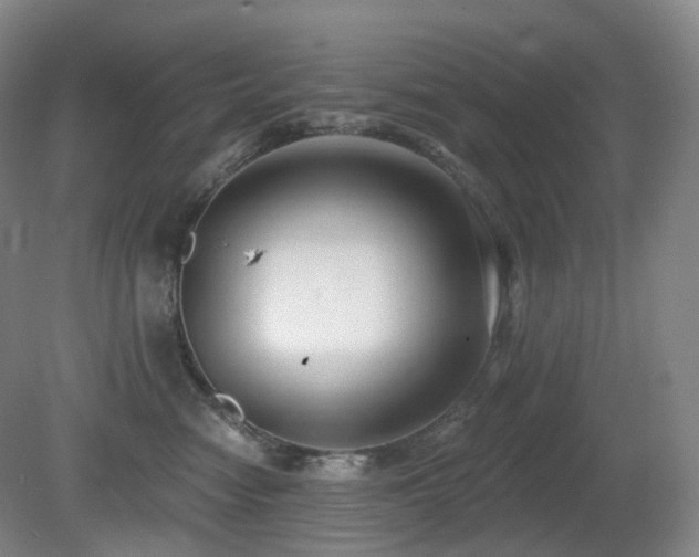 X0000081600474200701151344