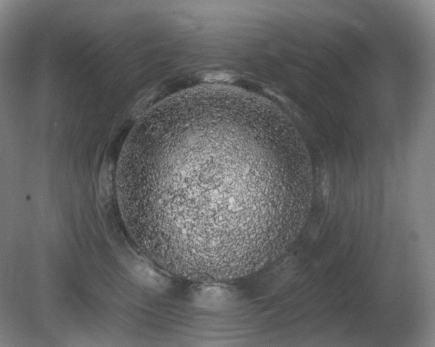 X0000081600475200701151344