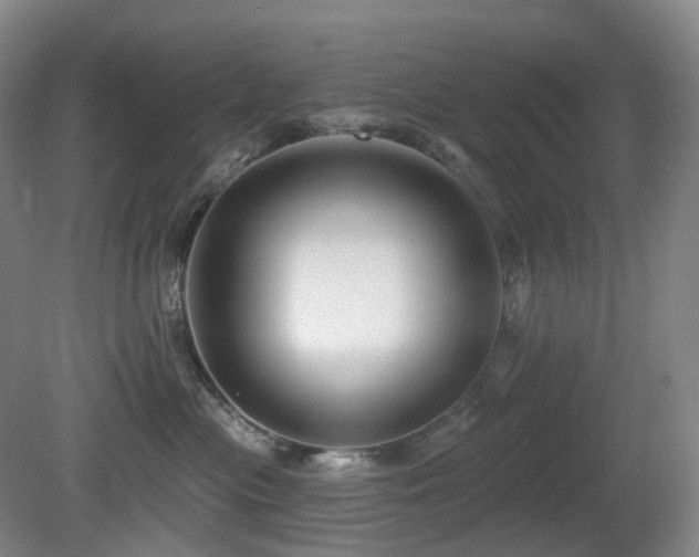 X0000081600477200701151344