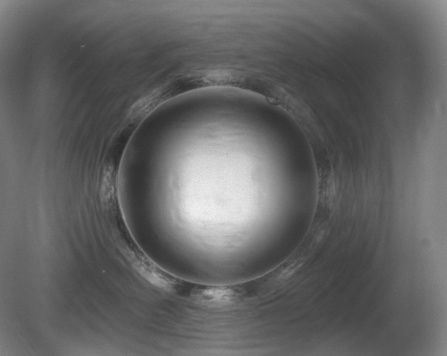 X0000081600478200701151344