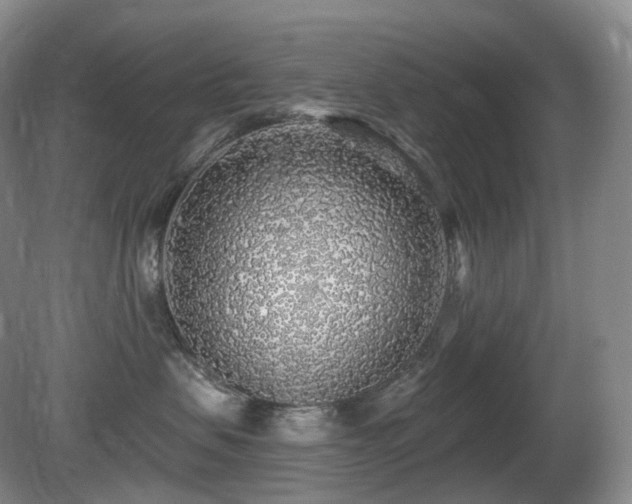 X0000081600479200701151344