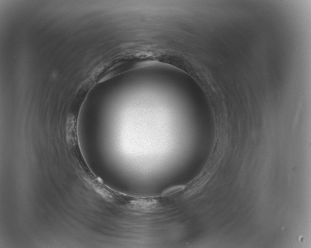 X0000081600480200701151344