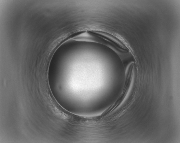 X0000081600481200701151343