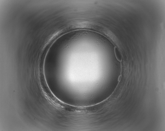 X0000081600482200701151343