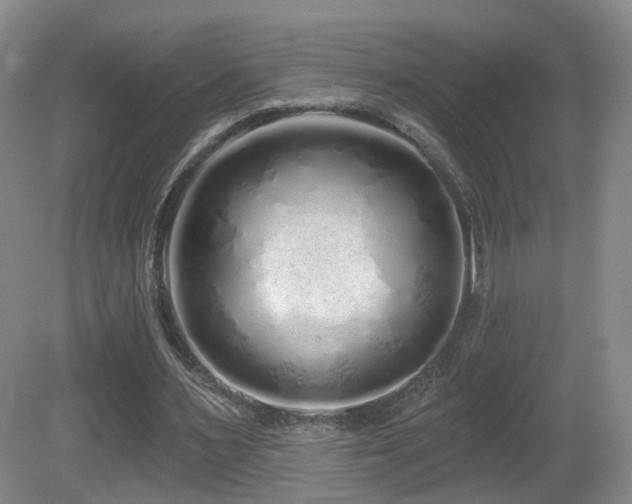 X0000081600483200701151343