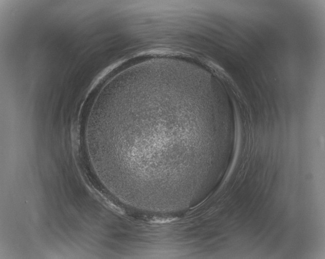 X0000081600484200701151343