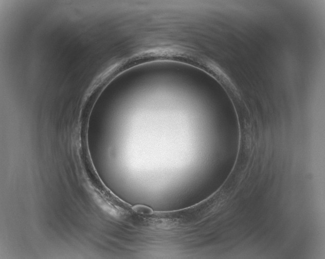 X0000081600486200701151343