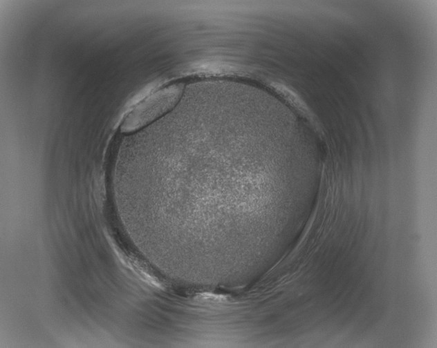 X0000081600488200701151343