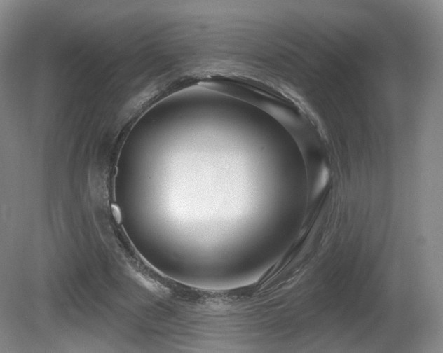 X0000081600489200701151343