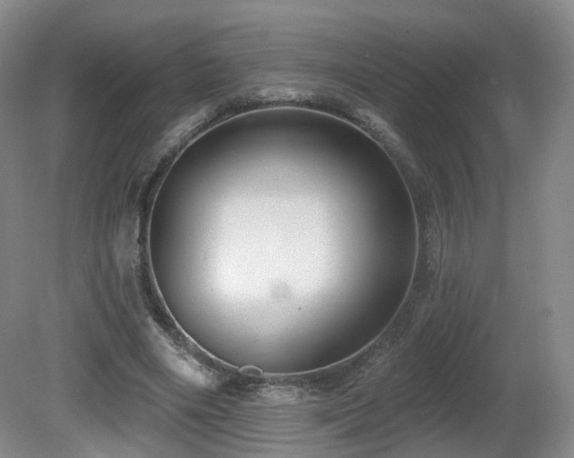 X0000081600490200701151343