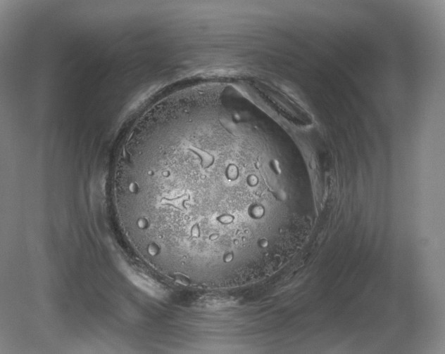 X0000081600491200701151343