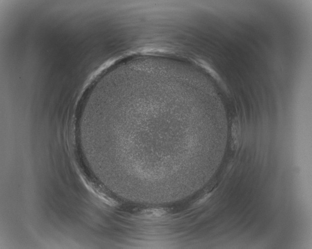 X0000081600492200701151343