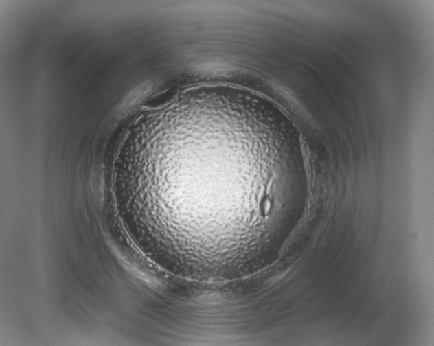 X0000081600494200701151343