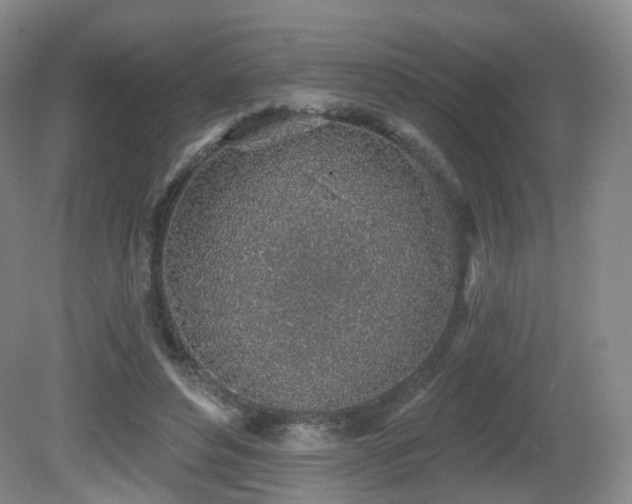 X0000081600496200701151343