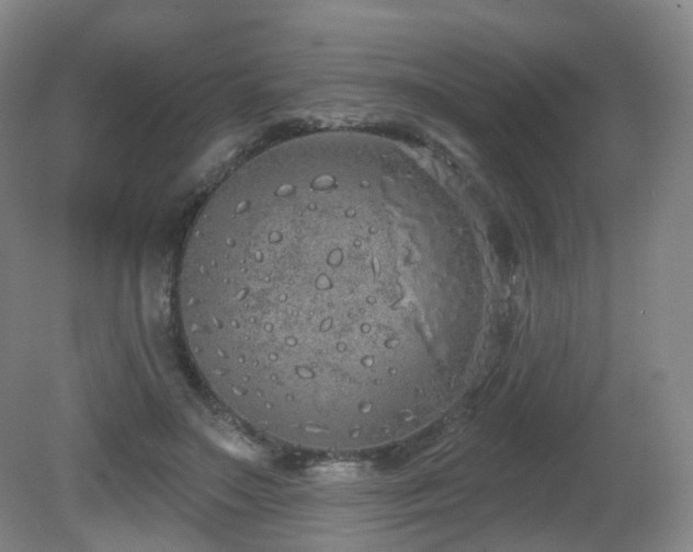 X0000081600499200701151343