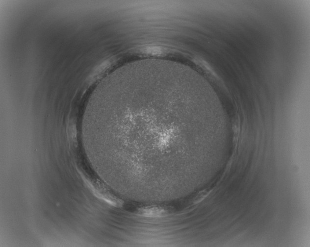 X0000081600500200701151343