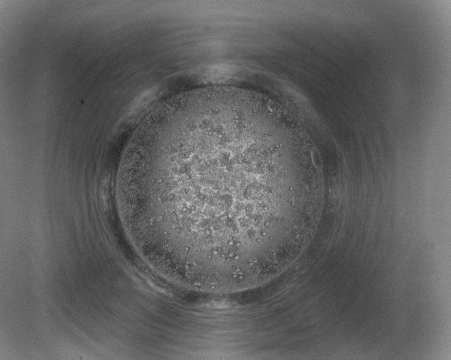 X0000081600503200701151343