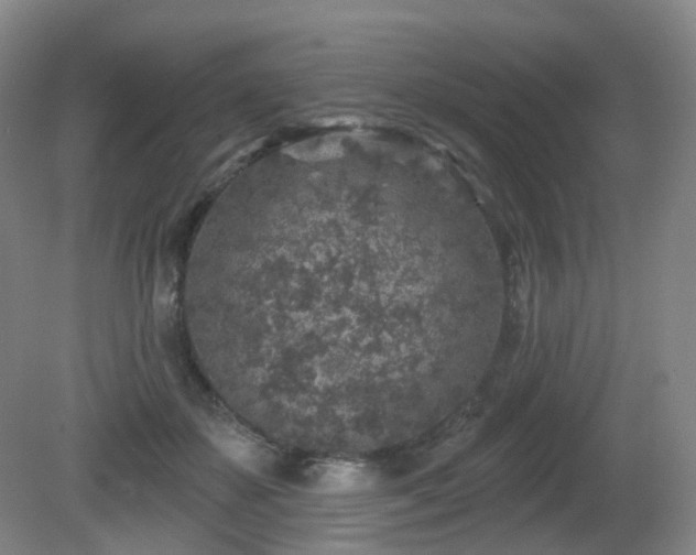 X0000081600507200701151343