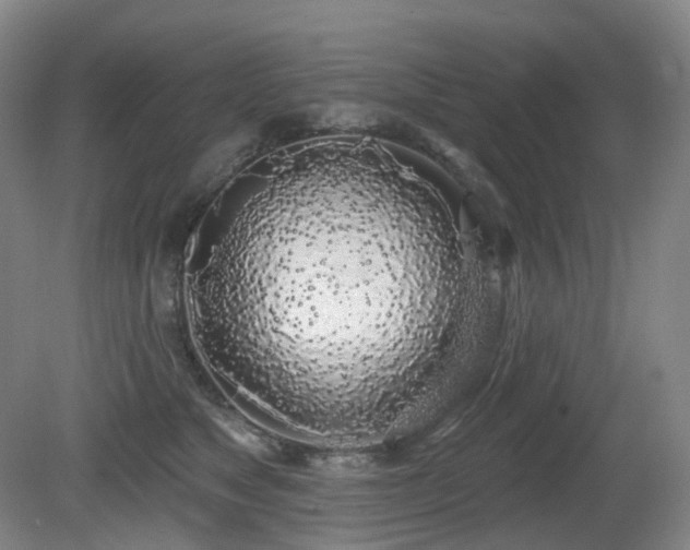 X0000081600517200701151342