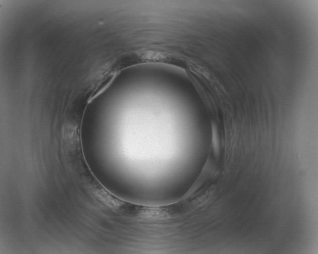 X0000081600521200701151342