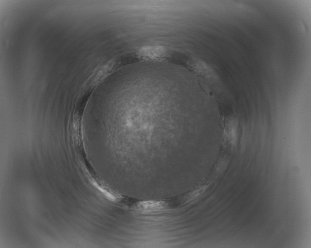 X0000081600526200701151342