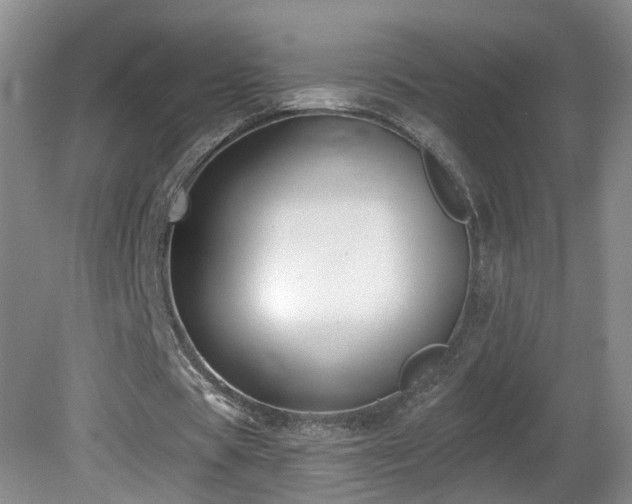X0000081600529200701151341
