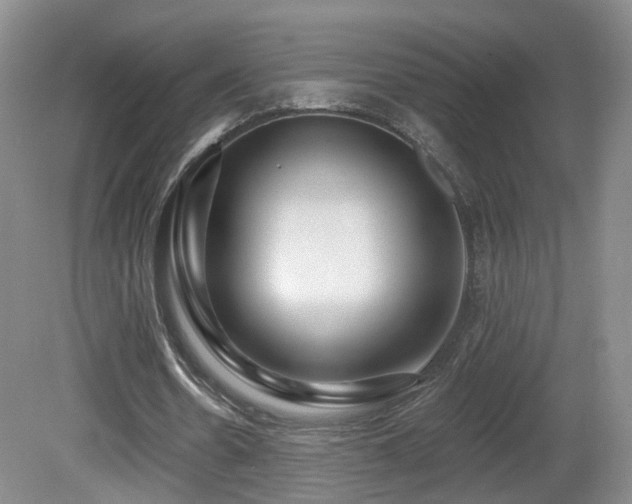 X0000081600530200701151341
