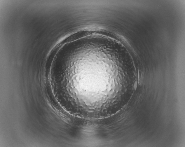 X0000081600531200701151341
