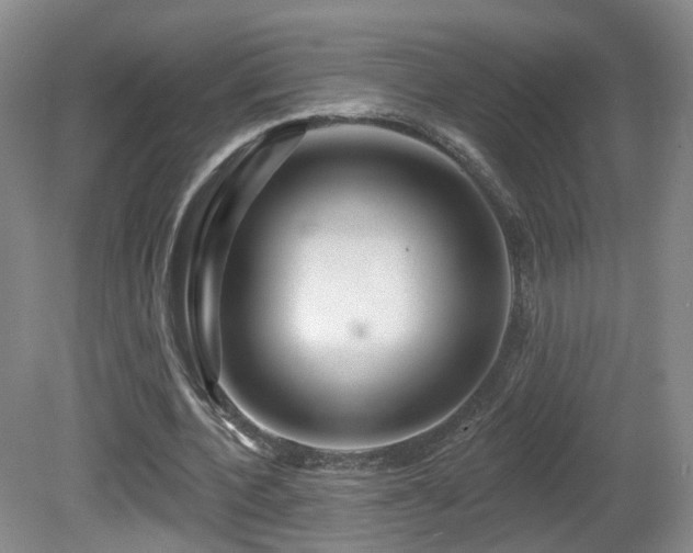 X0000081600532200701151341
