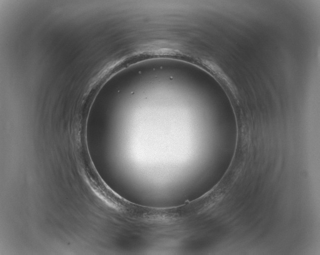 X0000081600533200701151341