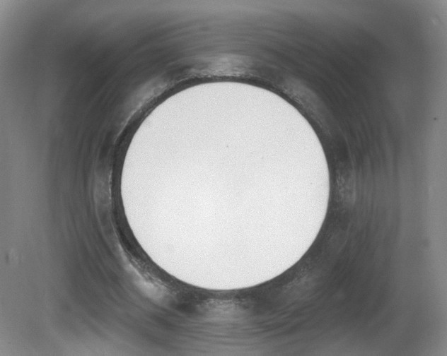 X0000081600534200701151341