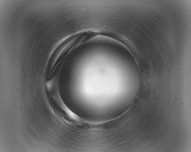 X0000081600536200701151341