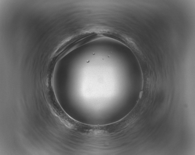 X0000081600539200701151342