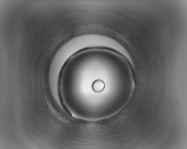 X0000081600546200701151342