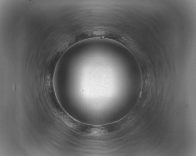 X0000081600555200701151342