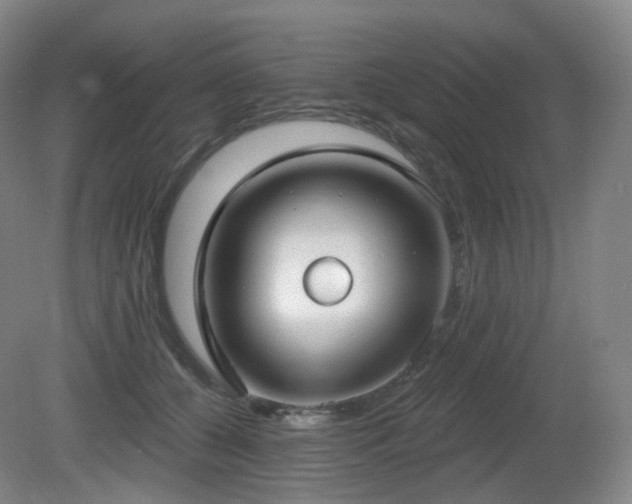 X0000081600560200701151342