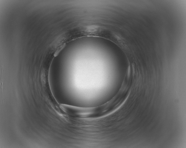 X0000081600562200701151342